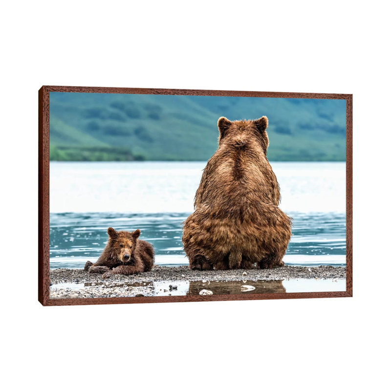 Opposites by Giuseppe Damico - Print on Canvas, 45.72cm H x 66.04cm W x 3.81cm D, Classic Brown Wood Floater Framed