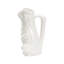 Frog Pitcher