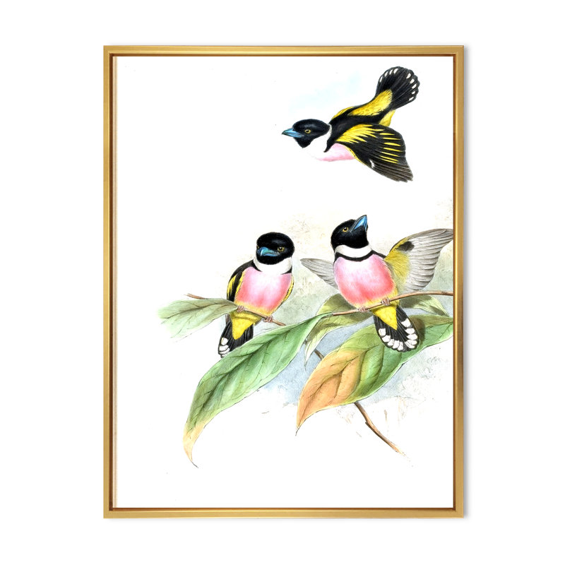 Oiseaux d'époque III - peinture sur toile, H 20 po x l 12 po x P 1po, Cadre flottant doré