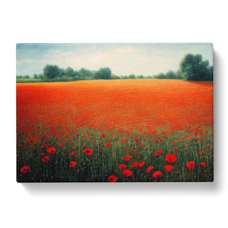 Evolving Poppy Field Flowers - Wrapped Canvas, 50cm H x 76cm W x 3cm D