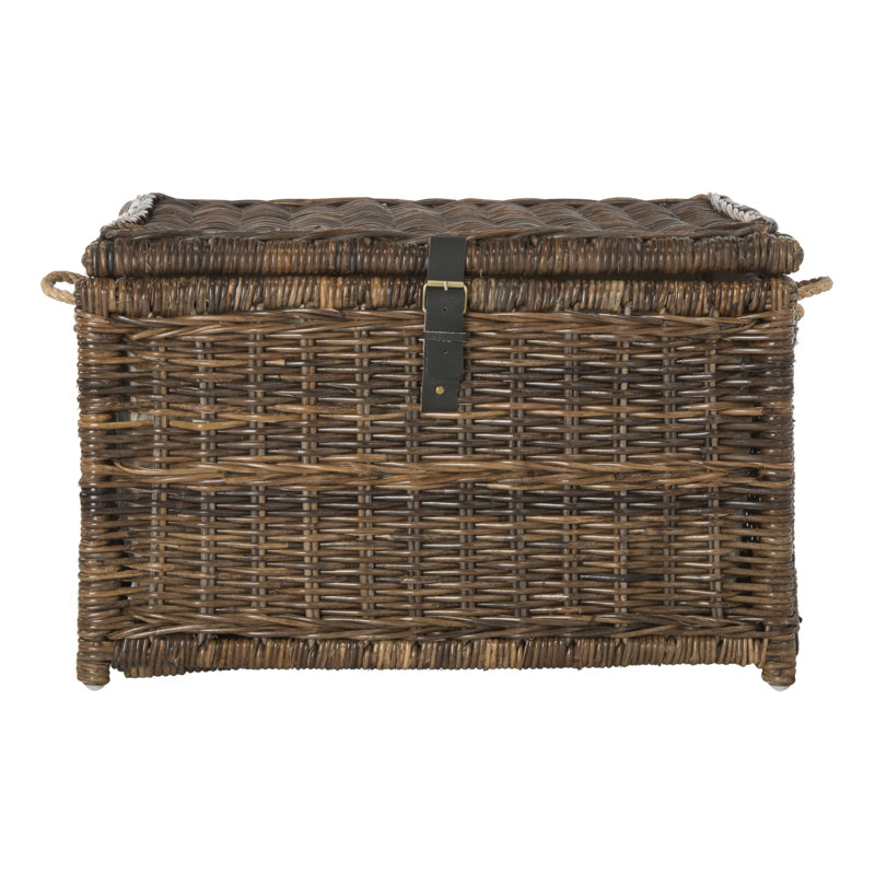 Caden Wicker Trunk, Brown, 18.3" H x 29.9" W x 23.6" D