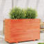 Wood Planter Box-104931173-108200269