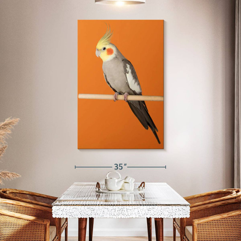 Brampt Cockatiel, 51" H x 34" W