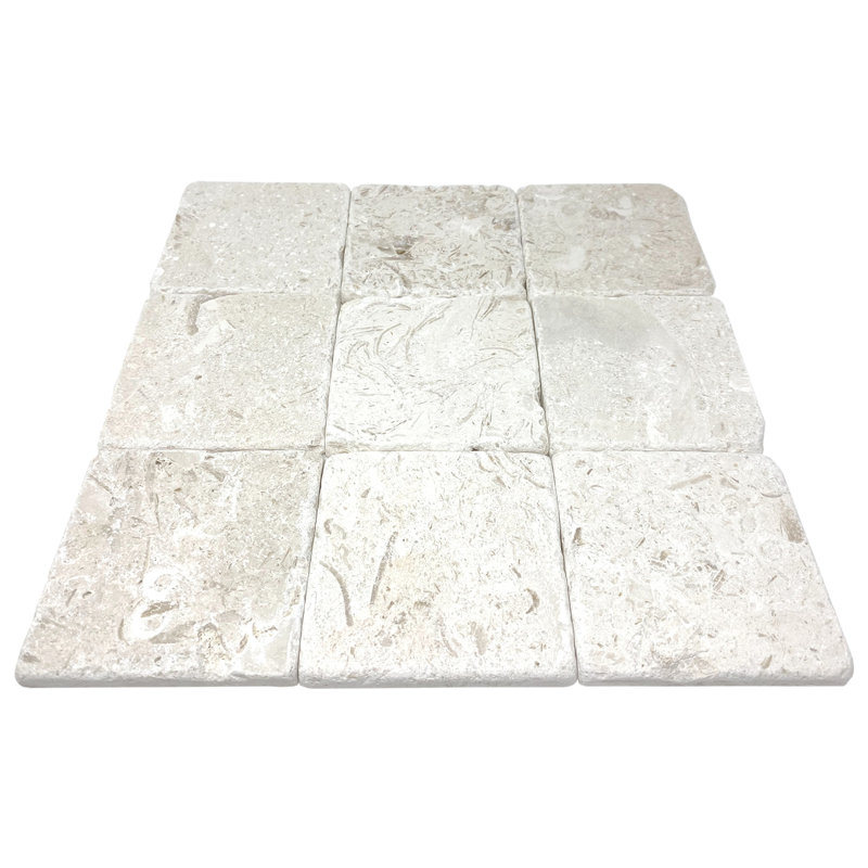 Carrelage en pierre fossile 4 po x 4 po