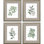 " White Flowers S/4 " by Giclee Studio 4 - Pieces