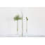 Macek Handmade Glass Table Vase