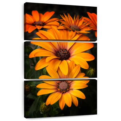 Harnek Orange Garden Flowers