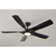 60'' Ceiling Fan with LED Lights
