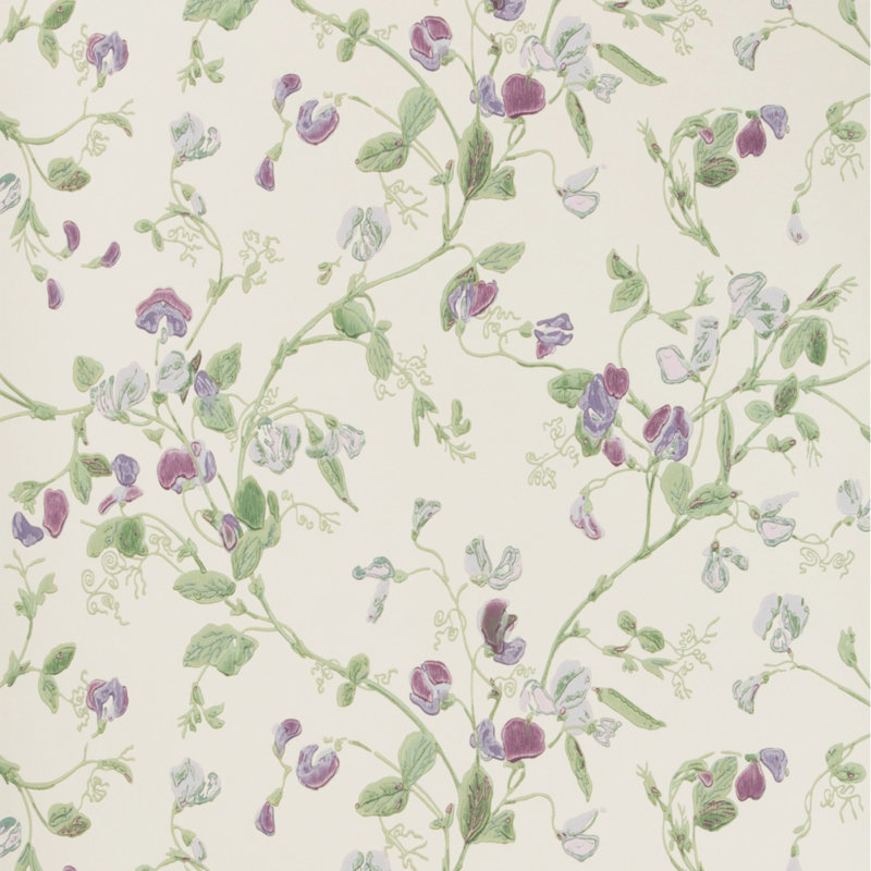 Anthology Sweet Pea Floral Wallpaper Roll, Violet
