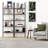 Andrea Manufactured Wood Standard Bookcase with 5 Shelves-1880322187