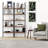 Andrea Manufactured Wood Standard Bookcase with 5 Shelves-2068992472-1880322187