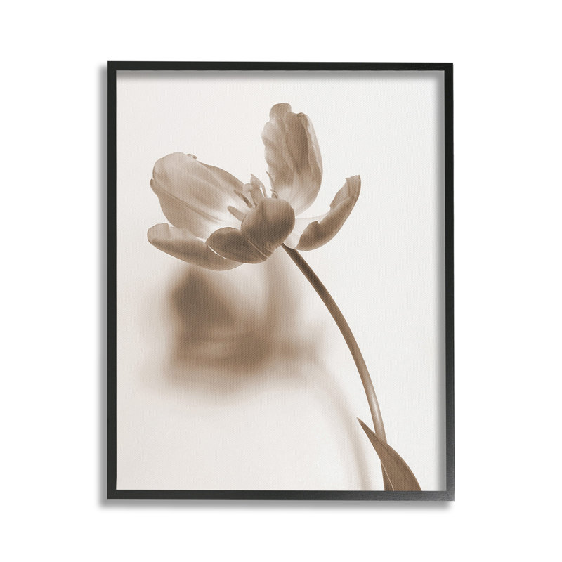 Tige de tulipe minimale, Giclée encadrée noir minuit, H 20 po x l 16 po