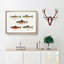 Selection of Fishes from North America Fish by Sherman F. Denton - Picture Frame Painting Print-55613541-55613544