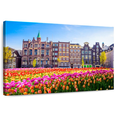 Nicci Amsterdam Tulips