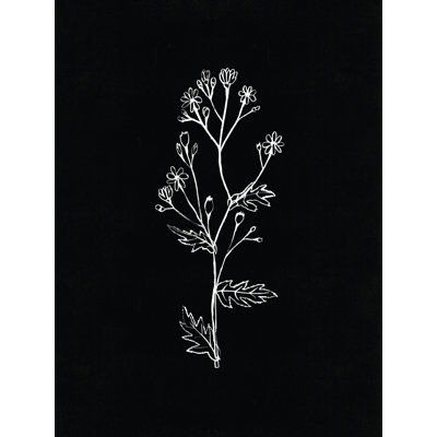 " Black White Botanical Silhouette II "