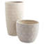 Nereus Handmade Ceramic Planter-1312301833
