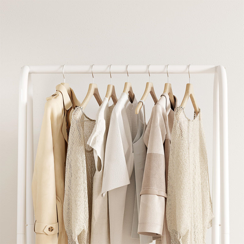 Alarik 62cm Clothing Rack, White