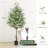 Olive Tree in Pot with Realistic Leaves and Natural Trunk,Olive Plants with Fruits for Home Decor-1085153568