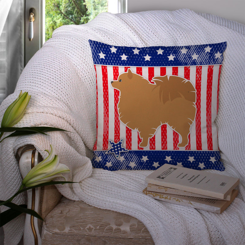 Coussin intérieur/extérieur usa Patriotic, H 14 po x l 14 po x P 3 po