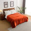 Plush Mink Fleece Blanket – Ultra-Soft, Lightweight Throw For All Seasons-113714309-113714310