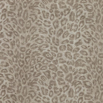 Suite Fabric
