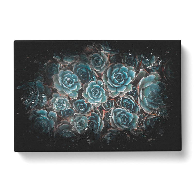 Succulent Plants - Wrapped Canvas, 60cm H x 91cm W x 4cm D