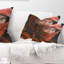 Coussin Arabian-29883103-89812881