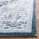 Delmer Performance Oriental Rug