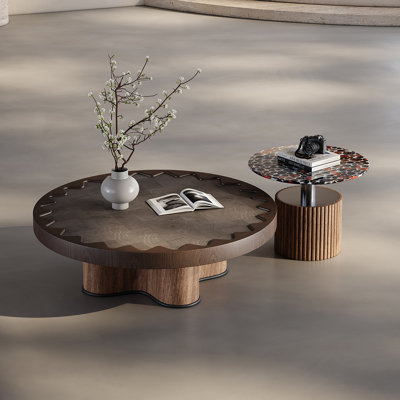 Mid-century Creative Coffee Table Set