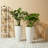 Staebell Tapered Planter-361631839-323520582