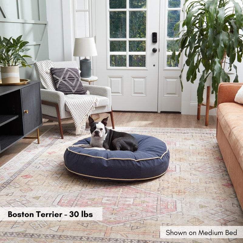 Lit pour chien Buckhead, Denim, Moyen (l 36 po x P 36 po x H 6 po)