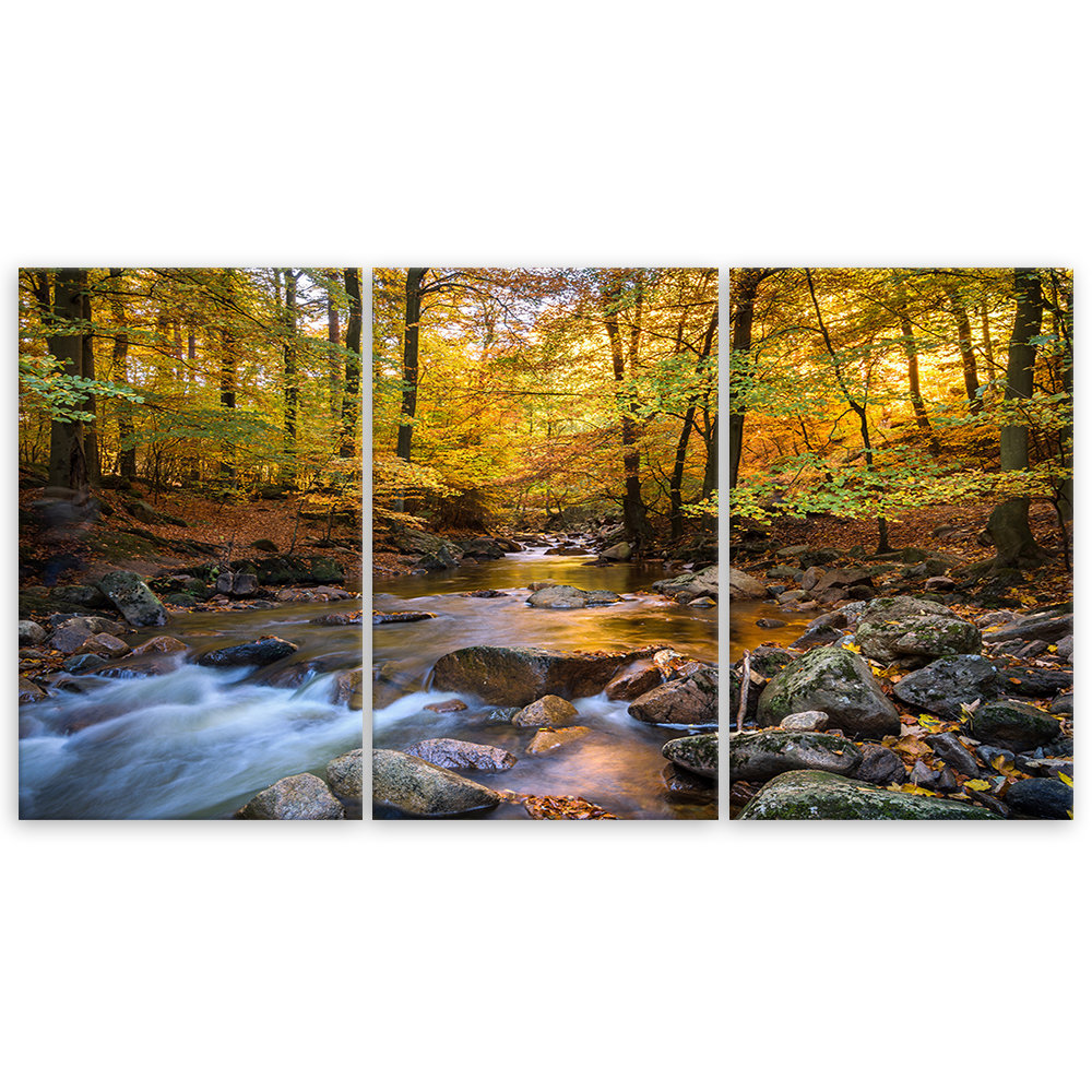 Leinwandbild Forest Autumn Brook Nature