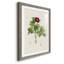 «Pretty Botanicals III», cadre photo-1776683588-1776683592