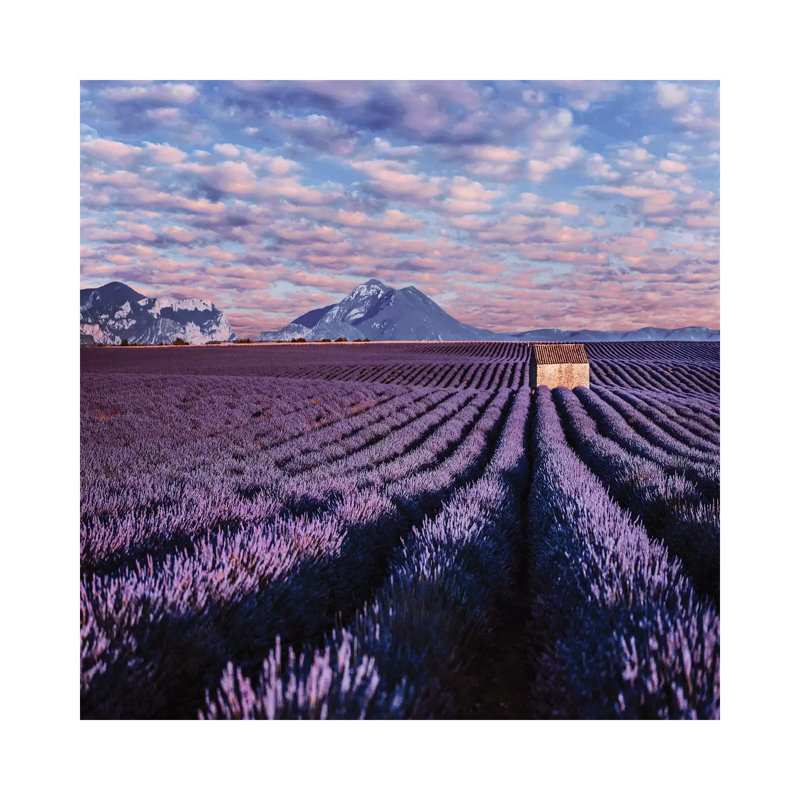 « Lavander clouds » par Hobopeeba-reproduction d’art, Toile tendue, Pas de tapis, H 26 po x l 26 po x P 1,5 po