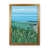 Brown Framed is unavailable