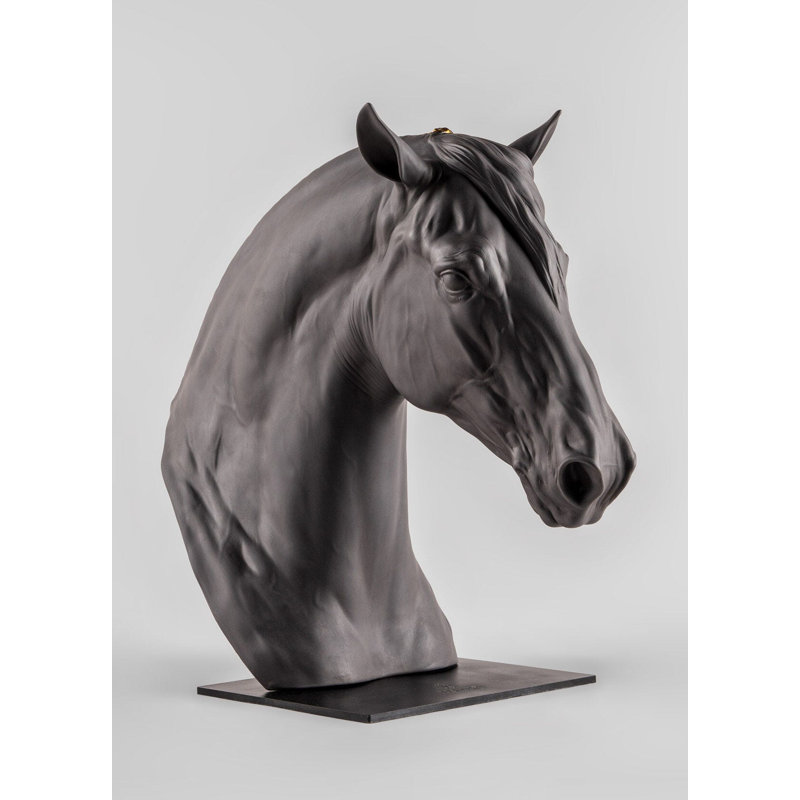 Equinus