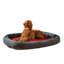 Orthopedic Memory Foam Pet Bed-45408894-45434982