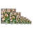 Abdouallah " Potted Flowers 204 "-1160562225