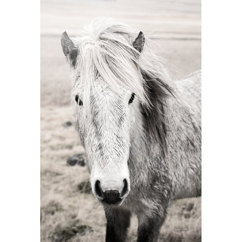 Heida II BW Crop by Laura Marshall - Wrapped Canvas Print, 46cm H x 30cm W