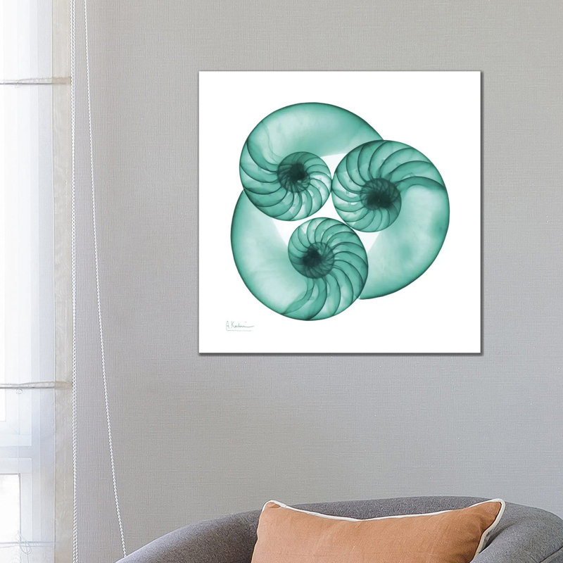 Nautilus Trio by Albert Koetsier - Wrapped Canvas Print, 66.04 cm H x 66.04 cm W x 1.91 cm D