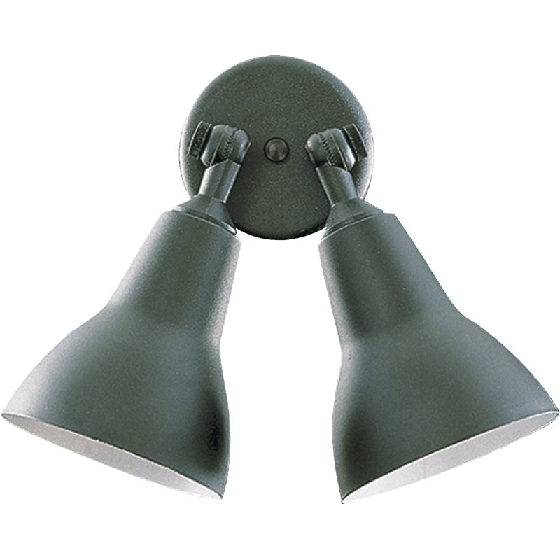 Balmorhea Spot Light, Black