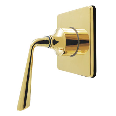 Kingston Brass Silver Sage Single-Handle Wall Mount Six-Way Diverter Valve with Trim Kit