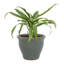 Jardinière extérieure Berlina-1292973038-1293001908