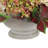 Assorted Hydrangeas and Ivy Arranged in Stone Pot