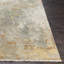 Colaba Distressed Abstract Sage, Olive 6' x 9' Area Rug-1659118967