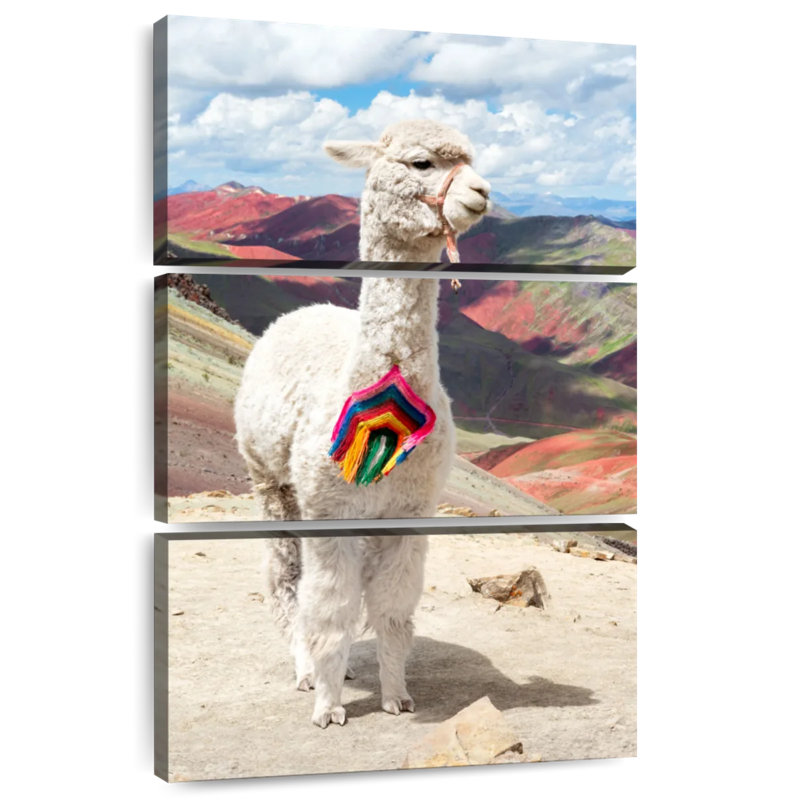 Brampt couleurs du Pérou - Alpaca blanc Palcoyo, H 74 po x l 48 po