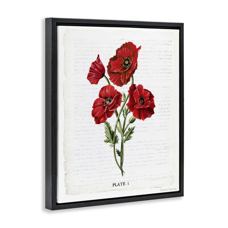 «Red Poppy Study Floater», art mural par Danielle Murray, Cadre flottant noir de jais, H 21 po x l 17 po