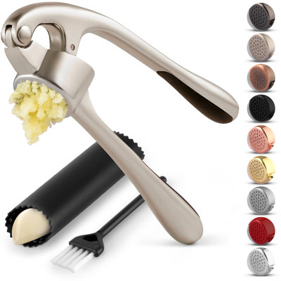 Presse-ail standard grand argent avec éplucheur en silicone et brosse