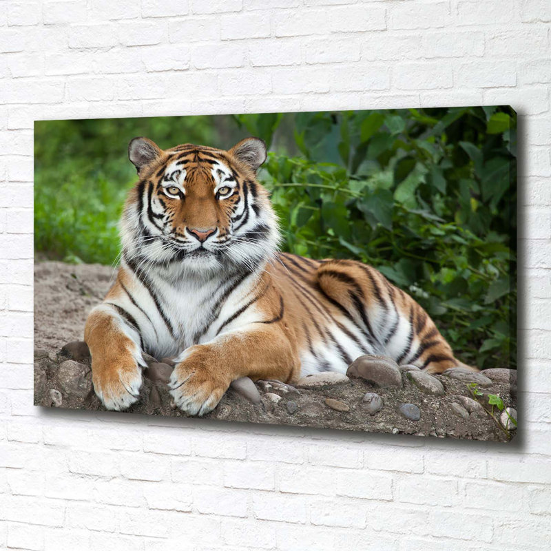 Siberian Tiger - Wrapped Canvas Print