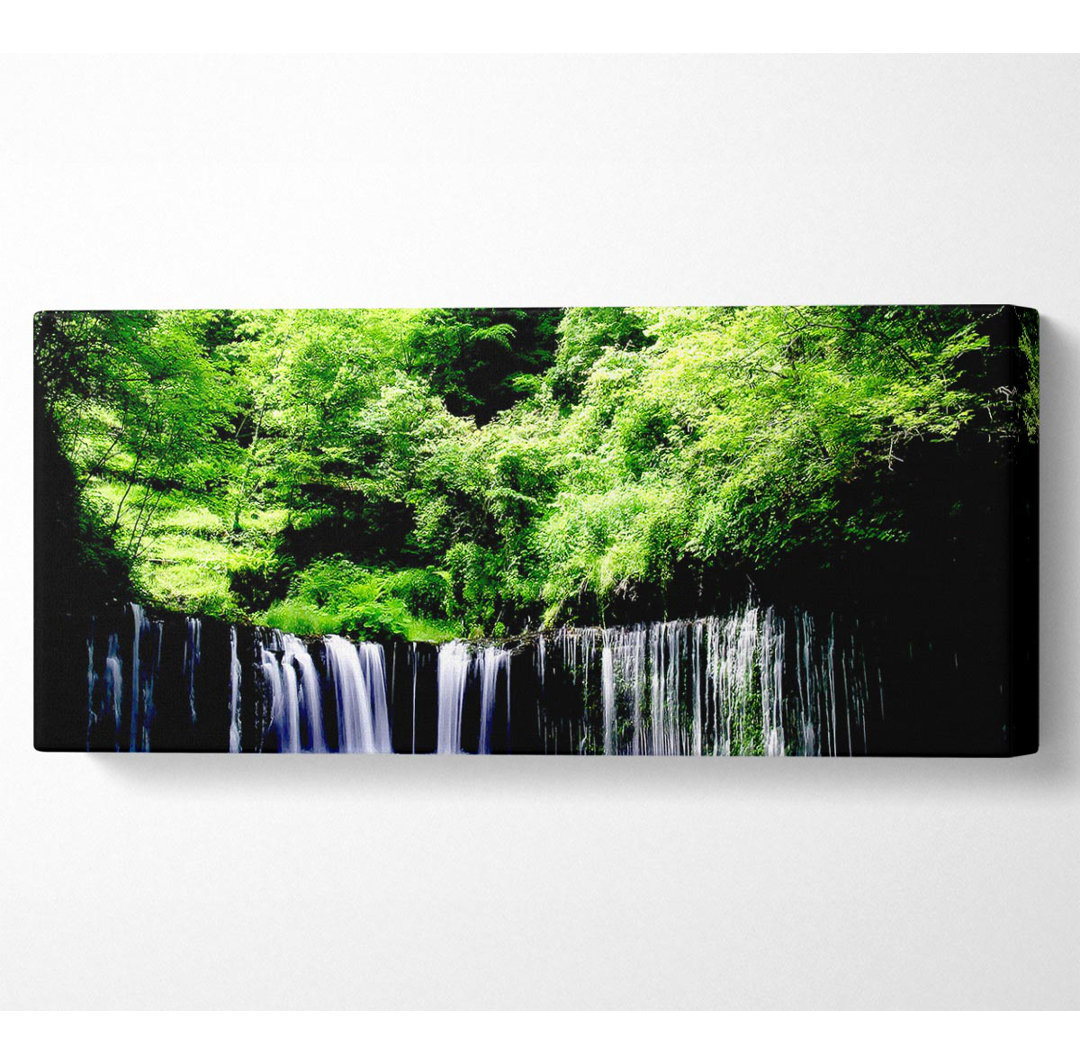 Regenwald - Kunstdrucke auf Leinwand - Wrapped Canvas